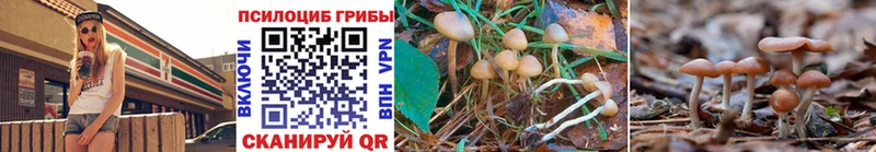 Галлюциногенные грибы Cubensis  наркота  Великий Новгород 