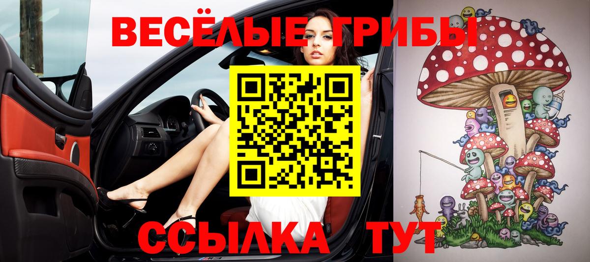 Галлюциногенные грибы MAGIC MUSHROOMS  Великий Новгород 